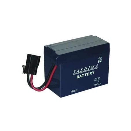 Batterie FBT19 pour modèles TECUMSEH