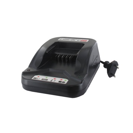 Chargeur de batterie GGP - CASTELGARDEN 118204136/1