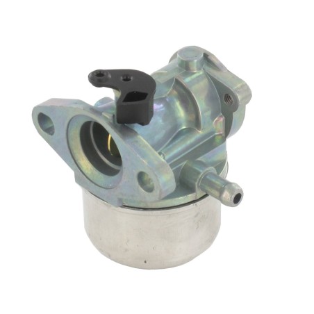 Carburateur BRIGGS ET STRATTON 799868