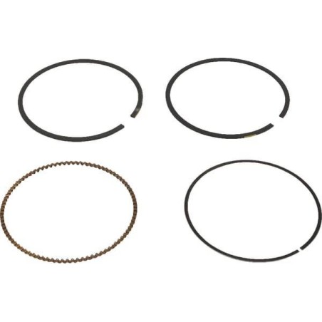 Kit de segments BRIGGS ET STRATTON 791787