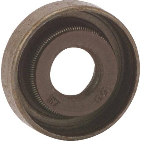 Joint de queue de soupape BRIGGS ET STRATTON 590410