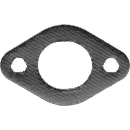 Joint BRIGGS ET STRATTON 695398