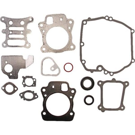 Kit joints BRIGGS ET STRATTON 592173