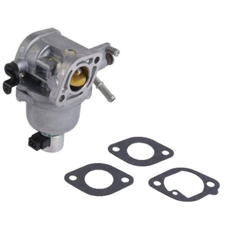 Carburateur BRIGGS ET STRATTON 699807