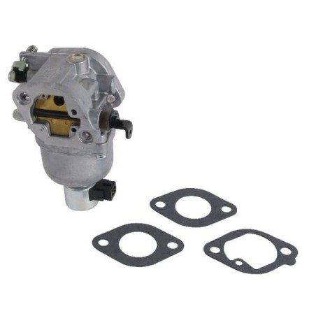 Carburateur BRIGGS ET STRATTON 699807