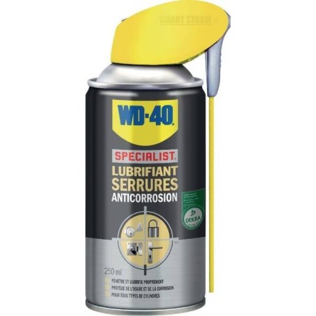 Lubrifiant pour serrure 250mL WD40 33303WD40FR