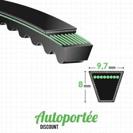 Courroie MOTOSTANDARD APV2