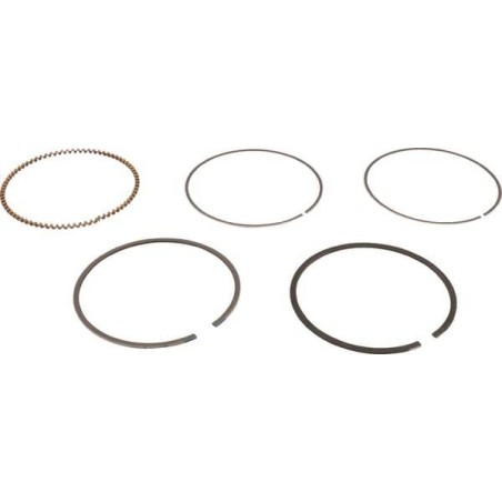 Kit de segments BRIGGS ET STRATTON 843806