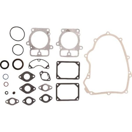 Kit de joints BRIGGS ET STRATTON 699823