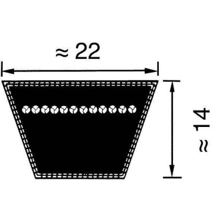 Courroie trapézoïdale C60 22x1524 OPTIBELT VB221524