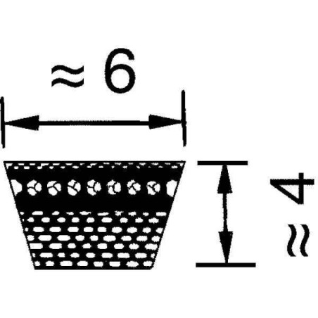 Courroie OPTIBELT VB6600