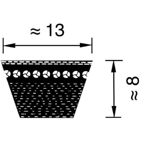 Courroie OPTIBELT AX131198