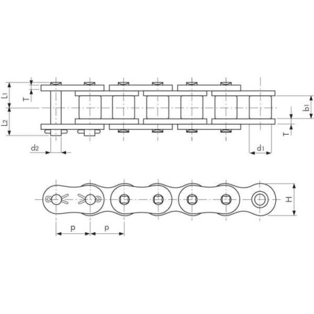 Chaîne à rouleaux TSUBAKI RS80HT