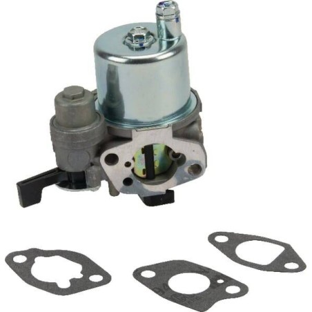 Carburateur BRIGGS ET STRATTON 593351