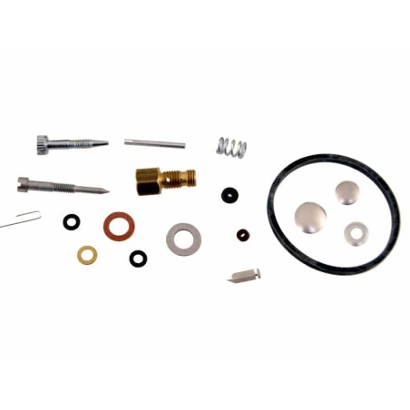 Kit réparation carburateur pour moteur Tecumseh 631584 / 631839 Pièce détachée