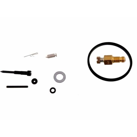 Kit réparation carburateur pour moteur Tecumseh 31840 Pièce détachée