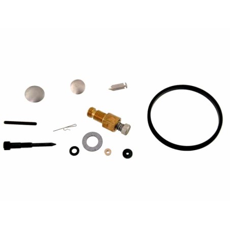 Kit réparation carburateur pour moteur Tecumseh 631029 Pièce détachée