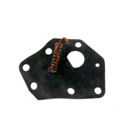 Membrane pour moteur Briggs & stratton 299637 Pièce détachée