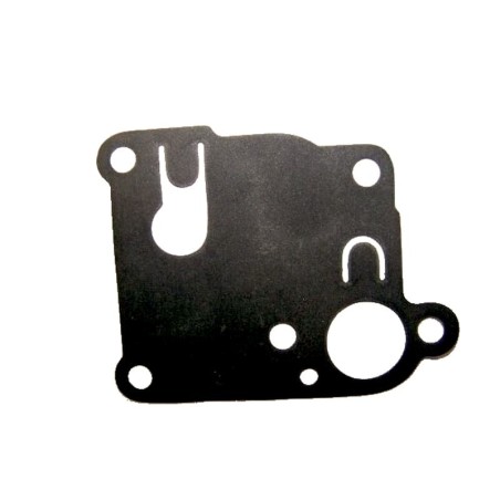 Membrane pour moteur Briggs & Stratton 270253 Pièce détachée