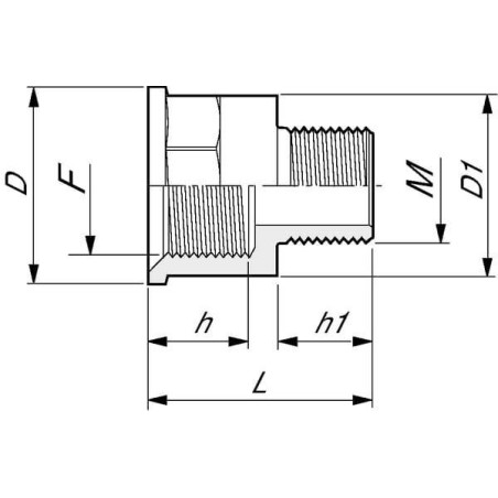 Embout ARAG 2452035