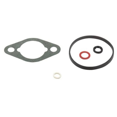 Kit BRIGGS ET STRATTON 715081