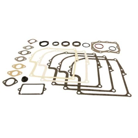 Kit BRIGGS ET STRATTON 299577