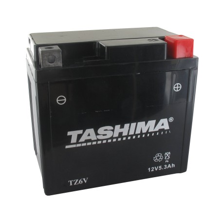 Batterie TASHIMA FTZ6V